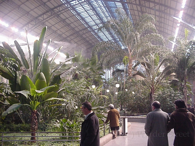 Garden In Train Station.jpg